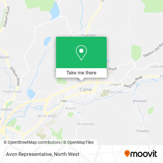 Avon Representative map