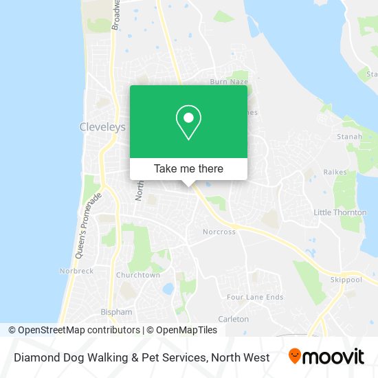 Diamond Dog Walking & Pet Services map