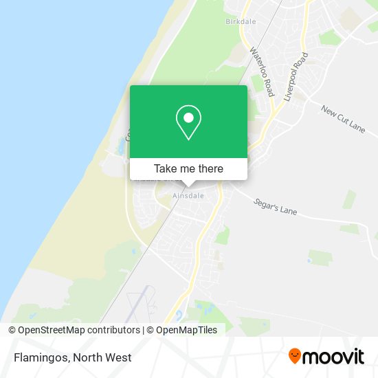 Flamingos map
