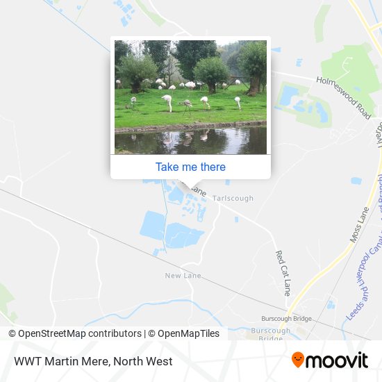 WWT Martin Mere map