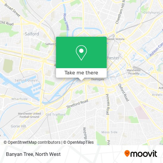 Banyan Tree map