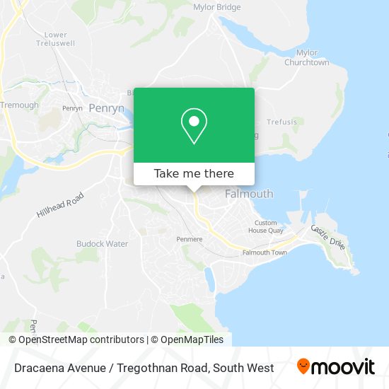 Dracaena Avenue / Tregothnan Road map