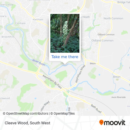 Cleeve Wood map