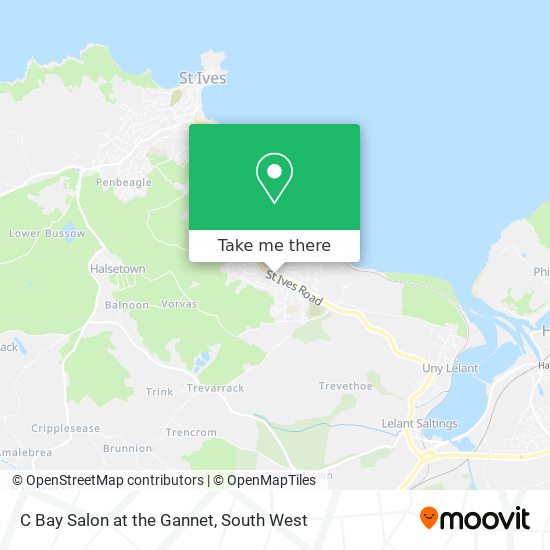 C Bay Salon at the Gannet map