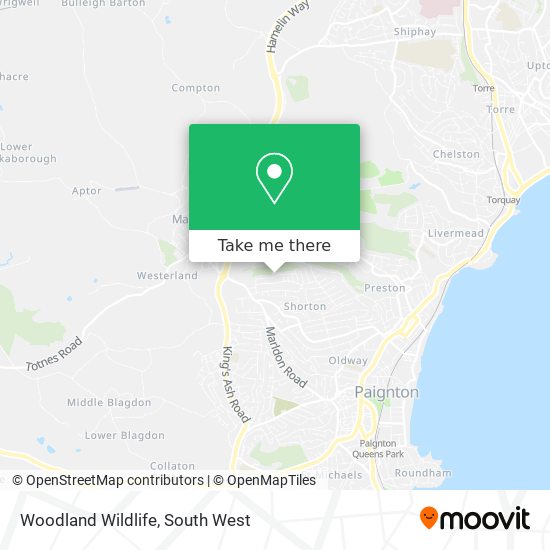Woodland Wildlife map
