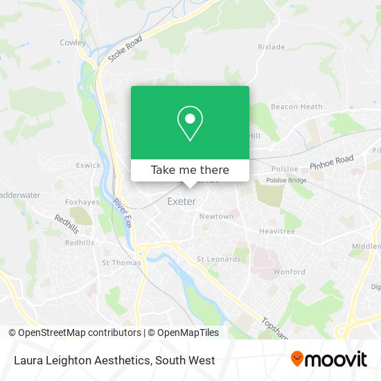 Laura Leighton Aesthetics map
