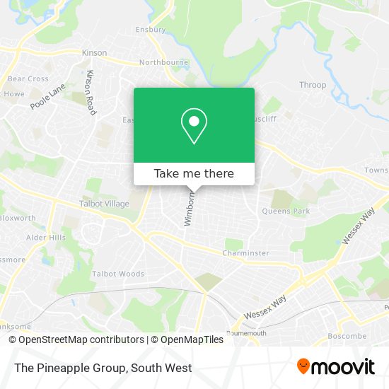 The Pineapple Group map
