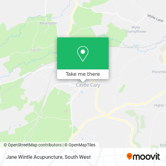 Jane Wintle Acupuncture map