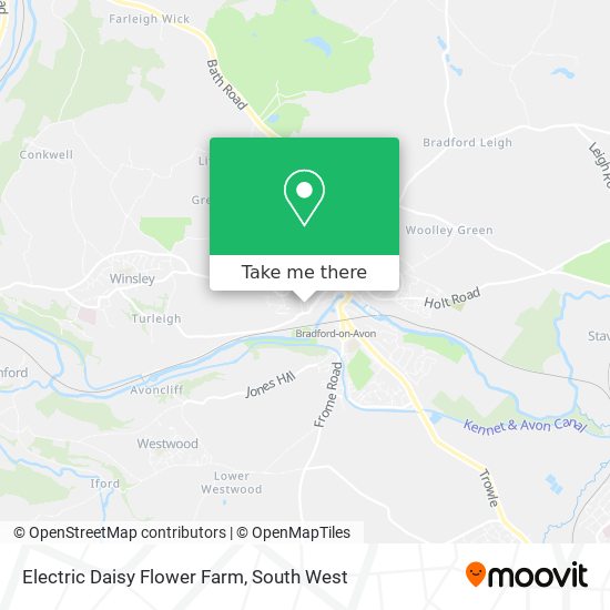 Electric Daisy Flower Farm map