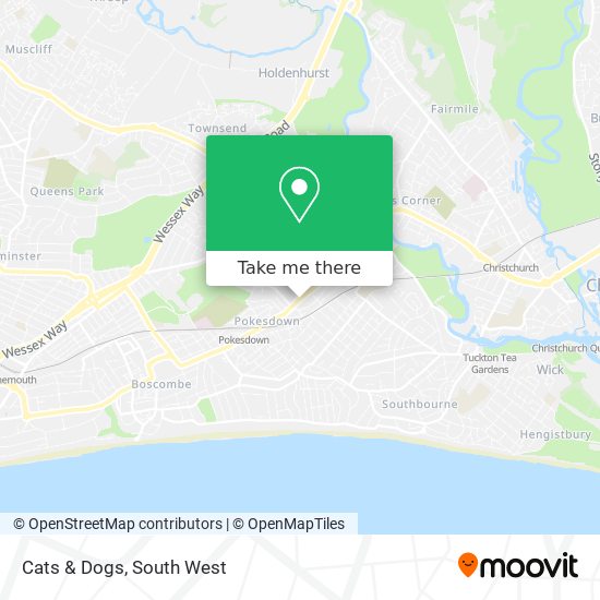 Cats & Dogs map