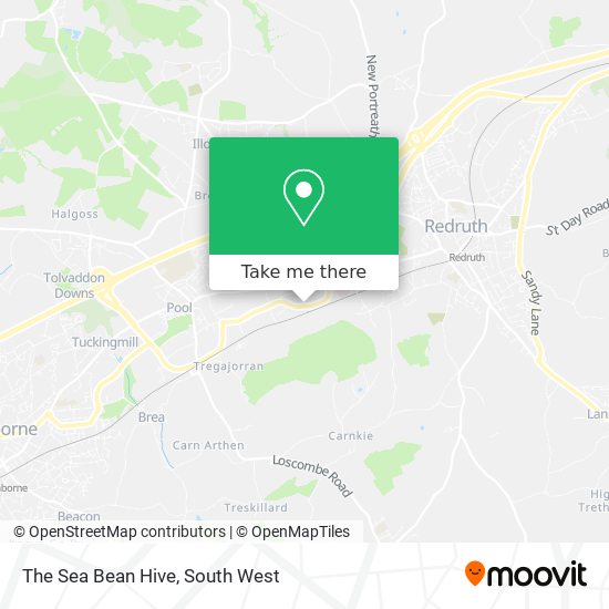 The Sea Bean Hive map