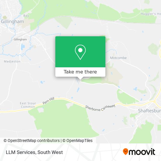 LLM Services map