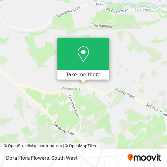 Dora Flora Flowers map