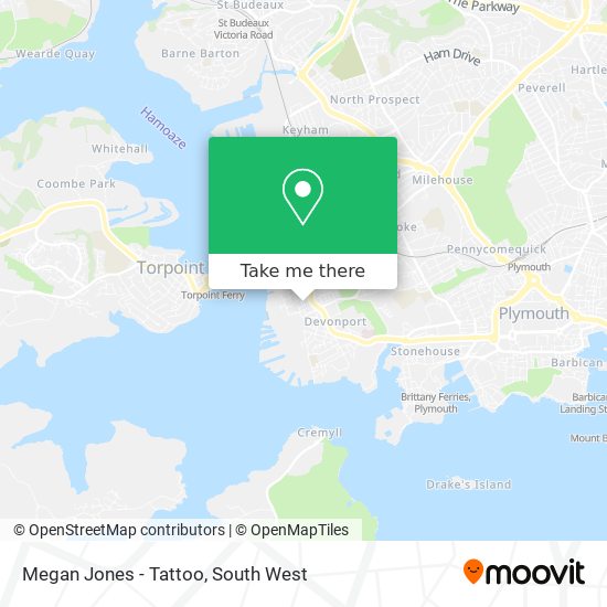Megan Jones - Tattoo map