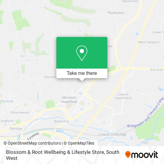 Blossom & Root Wellbeing & Lifestyle Store map