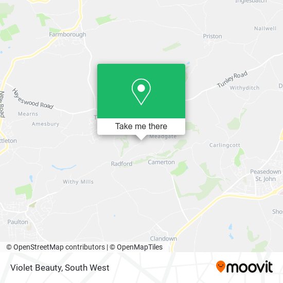 Violet Beauty map