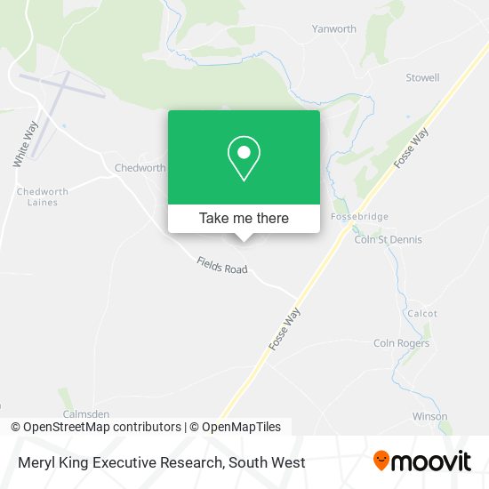 Meryl King Executive Research map