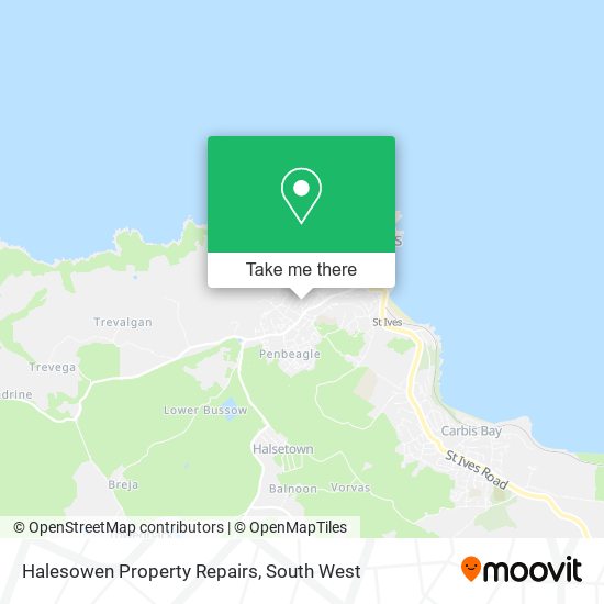 Halesowen Property Repairs map