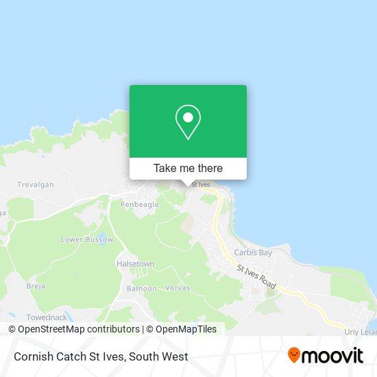 Cornish Catch St Ives map