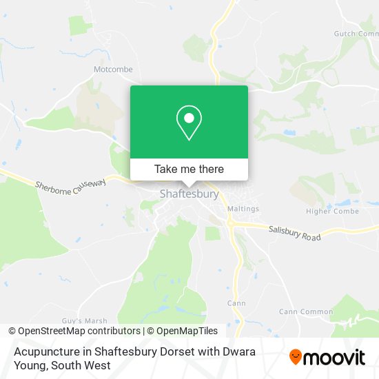 Acupuncture in Shaftesbury Dorset with Dwara Young map