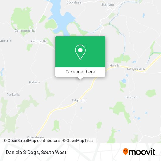 Daniela S Dogs map