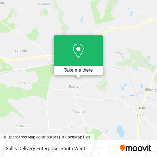 Sallis Delivery Enterprise map