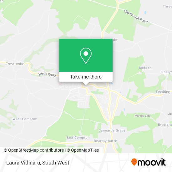 Laura Vidinaru map