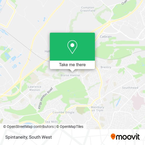 Spintaneity map