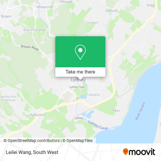 Leilei Wang map