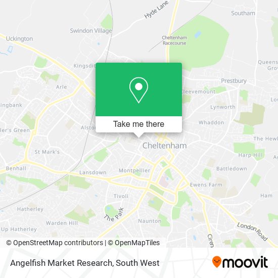 Angelfish Market Research map