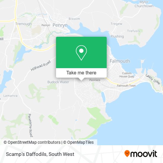 Scamp's Daffodils map