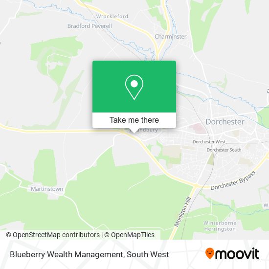 Blueberry Wealth Management map