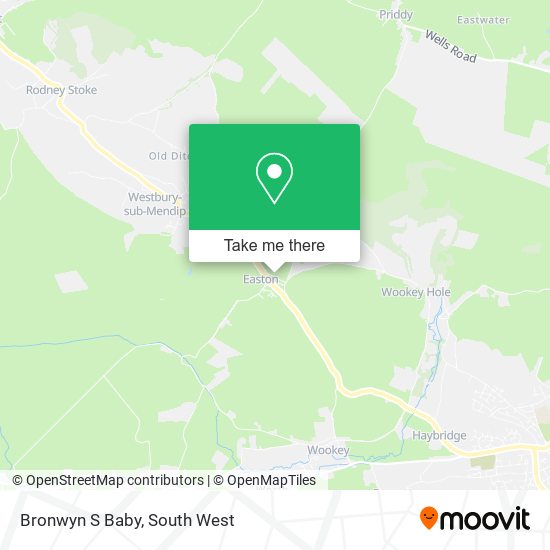 Bronwyn S Baby map