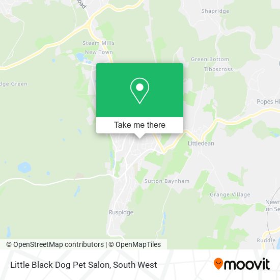 Little Black Dog Pet Salon map
