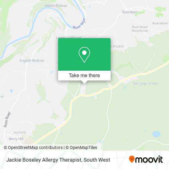 Jackie Boseley Allergy Therapist map