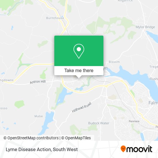 Lyme Disease Action map