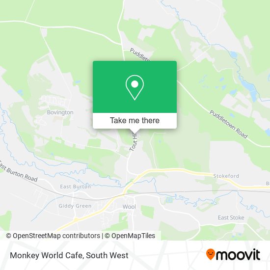 Monkey World Cafe map