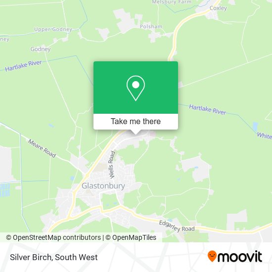 Silver Birch map