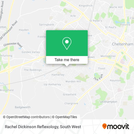Rachel Dickinson Reflexology map