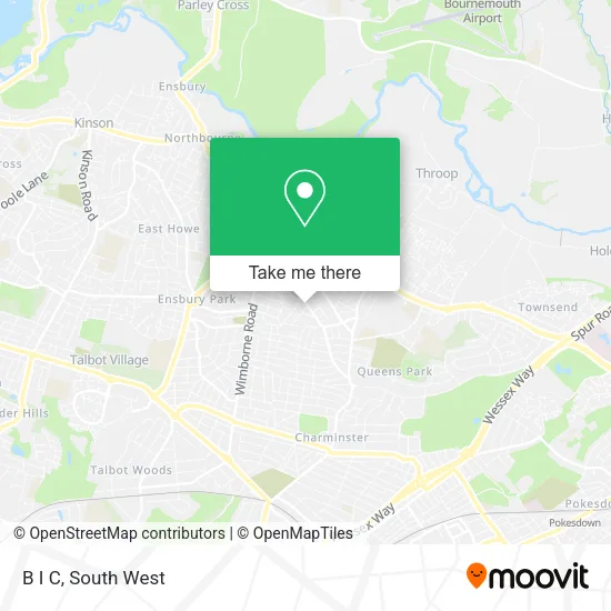 B I C map