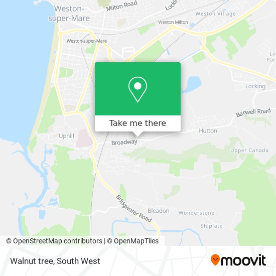 Walnut tree map