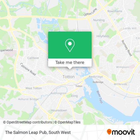 The Salmon Leap Pub map