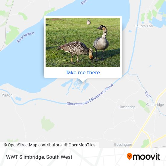 WWT Slimbridge map