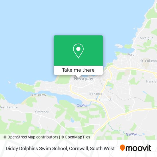Diddy Dolphins Swim School, Cornwall map