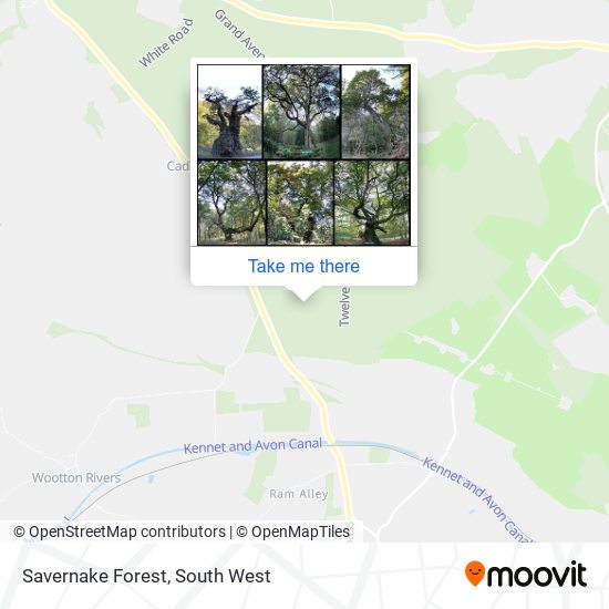 Savernake Forest map