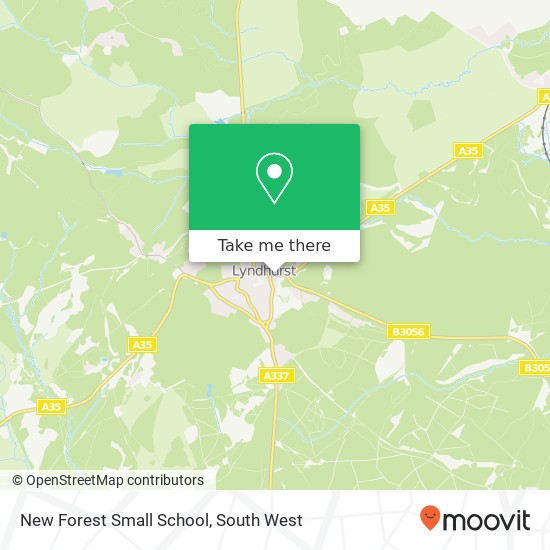 New Forest Small School map