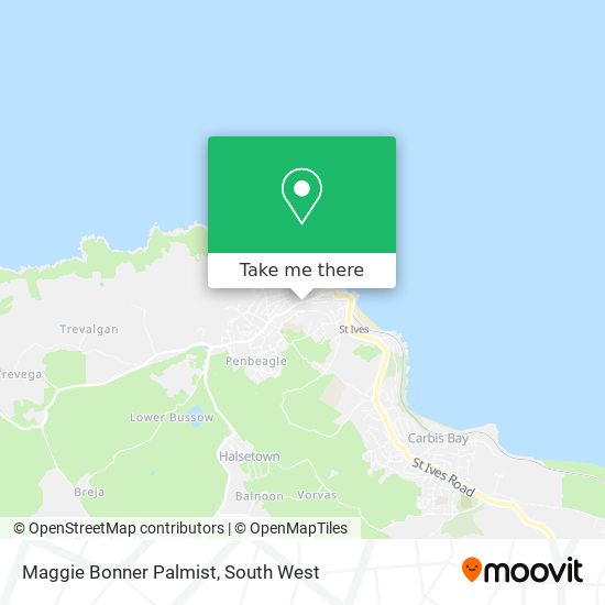 Maggie Bonner Palmist map