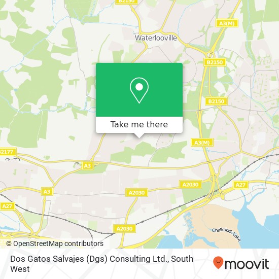 Dos Gatos Salvajes (Dgs) Consulting Ltd. map