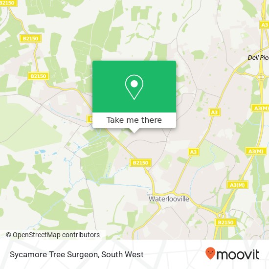 Sycamore Tree Surgeon map