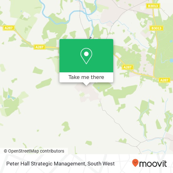 Peter Hall Strategic Management map